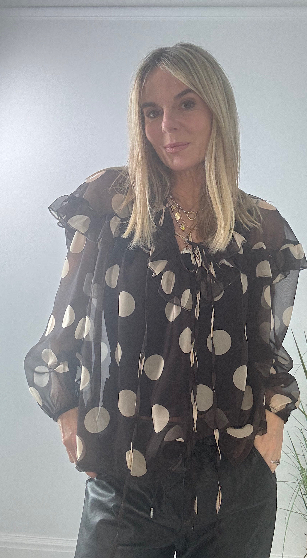 Polka Dot Sheer Blouse
